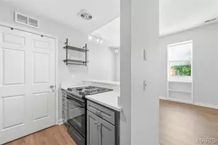 1841 S 9th St, Saint Louis, MO 63104 - Photo 14