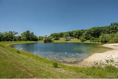 10 Ravinia Lane, Pacific, MO 63069 - Photo 42