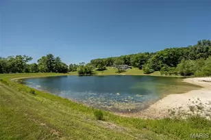 10 Ravinia Ln, Pacific, MO 63069 - Photo 42