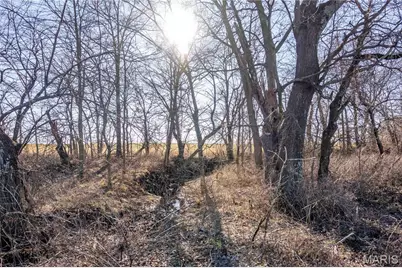 00 Hwy Hh, Bowling Green, MO 63334 - Photo 28