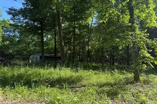 0 Rustic Acres Dr, Bonne Terre, MO 63628 - Photo 1