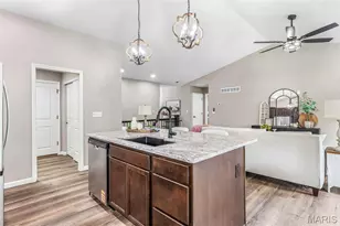 758 Blake Dr, Hillsboro, MO 63050 - Photo 20
