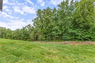 758 Blake Dr, Hillsboro, MO 63050 - Photo 44