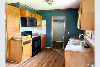 39335 W Sue Drive, Malden, MO 63863 - Photo 6