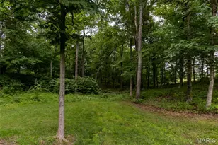1672 Hermitage Rd, Jackson, MO 63755 - Photo 56