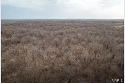 1610 State Highway 64, Tunas, MO 65764 - Photo 56