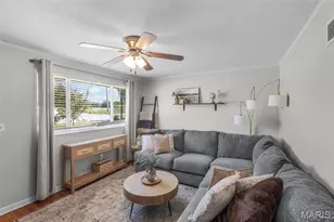 903 Old Cape Rd, Jackson, MO 63755 - Photo 6