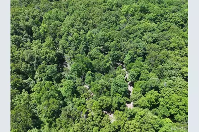 Tract 4 Bcr 930, Patton, MO 63662 - Photo 6