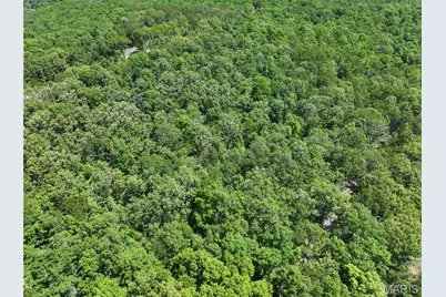 Tract 5 Bcr 930, Patton, MO 63662 - Photo 6