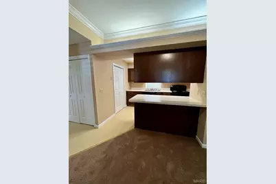2204 Menard Street, Saint Louis, MO 63104 - Photo 6