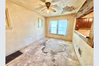 4323 Bingham Avenue, Saint Louis, MO 63116 - Photo 4