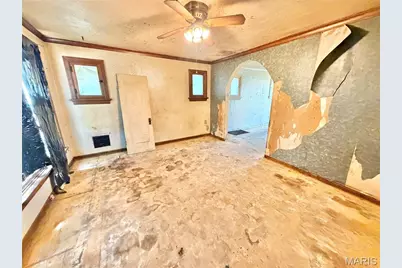 4323 Bingham Avenue, Saint Louis, MO 63116 - Photo 2