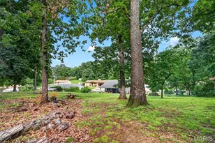 2673 Cathy Ann Dr, High Ridge, MO 63049 - Photo 46