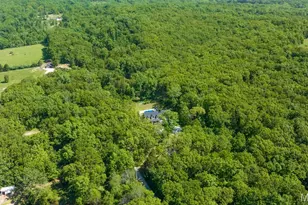 943 Frost Rd, Grubville, MO 63041 - Photo 88