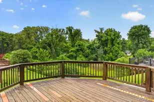 12502 Bielefeld Ct, Black Jack, MO 63033 - Photo 48