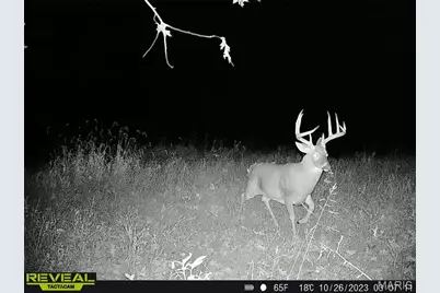 Tbd 00 County Road 274 #112.5, Chamois, MO 65024 - Photo 16