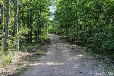 1 Gobbler Cove, Lowndes, MO 63951 - Photo 8