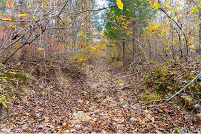 000 Hwy Jj (Tract 10), Marquand, MO 63655 - Photo 28