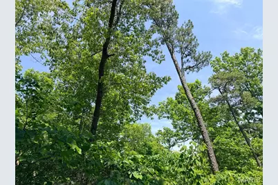 10 State Route T, Richwoods, MO 63071 - Photo 26
