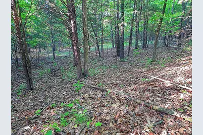 001 Blackwell Heights Road, Blackwell, MO 63626 - Photo 28