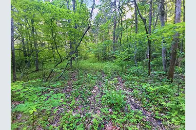 004 Blackwell Heights Road, Blackwell, MO 63626 - Photo 28