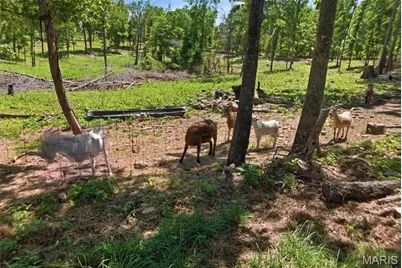 210 County Road 320, Alton, MO 65606 - Photo 60