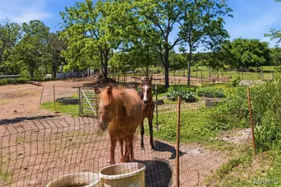 210 County Road 320, Alton, MO 65606 - Photo 50