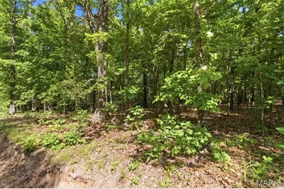 210 County Road 320, Alton, MO 65606 - Photo 84