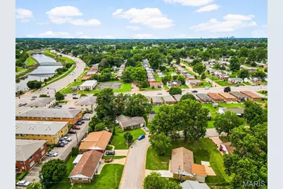 4117 Louis Street, Saint Louis, MO 63116 - Photo 30