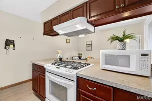 1017 Reavis Barracks Rd, Saint Louis, MO 63125 - Photo 12