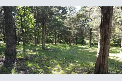 [Address not provided], De Soto, MO 63020 - Photo 30