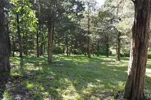 [Address not provided], De Soto, MO 63020 - Photo 30