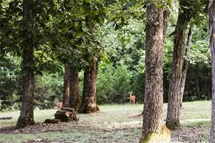 13505 State Rd E Rd, De Soto, MO 63020 - Photo 34