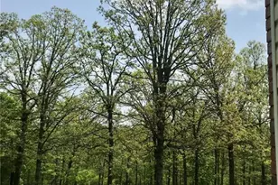 [Address not provided], De Soto, MO 63020 - Photo 10