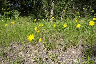 13505 State Rd E Rd, De Soto, MO 63020 - Photo 30