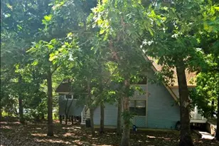 611 Rue Lamande, Bonne Terre, MO 63628 - Photo 1