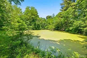 613 Jacobs Station Rd, Unincorporated, MO 63304 - Photo 52