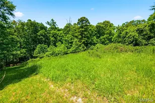 613 Jacobs Station Rd, Unincorporated, MO 63304 - Photo 54