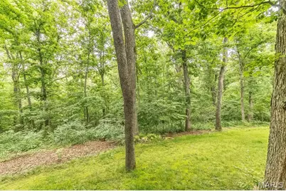 7 Walnut Ridge Court, Defiance, MO 63341 - Photo 54