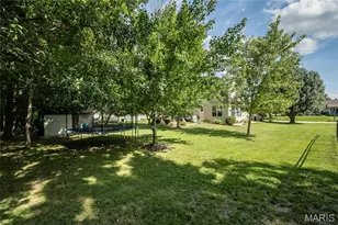 7313 Cinnamon Teal Dr, O'Fallon, MO 63368 - Photo 50