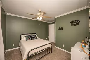 7313 Cinnamon Teal Dr, O'Fallon, MO 63368 - Photo 32