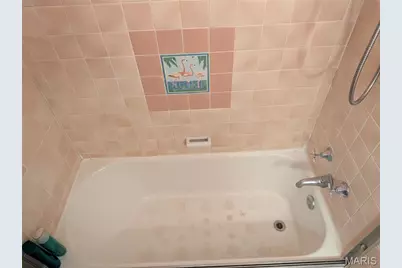 9133 Overton Drive, Saint Louis, MO 63123 - Photo 34