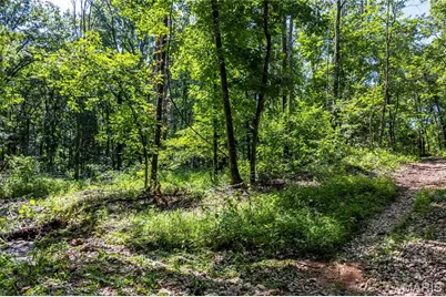 119 Ac N State Highway 47, Warrenton, MO 63383 - Photo 14