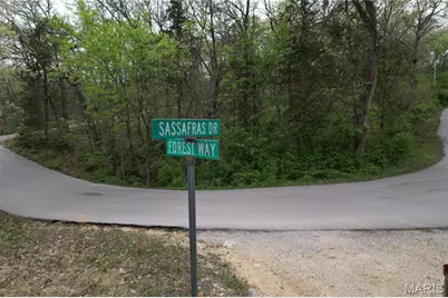 Lot 160 Sassafras, Hillsboro, MO 63049 - Photo 6