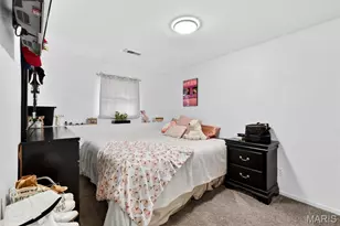 3836 Birch Dr, Imperial, MO 63052 - Photo 28