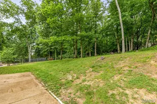 308 Gran Vista Dr, Festus, MO 63028 - Photo 36