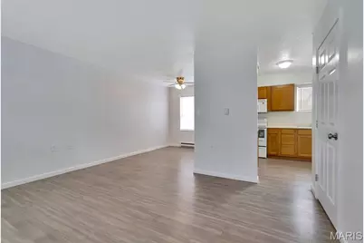 119 N 1st Street, Ellisville, MO 63336 - Photo 2