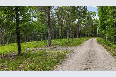 299 Whitetail Ridge, Dittmer, MO 63023 - Photo 2