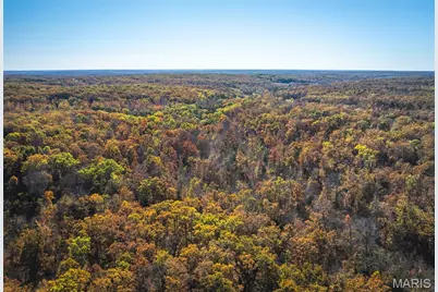36 +/- Acres Tbd Highway H, Gerald, MO 63037 - Photo 4
