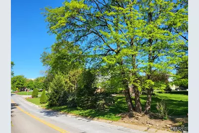 1 Crabapple Court, Olivette, MO 63132 - Photo 84